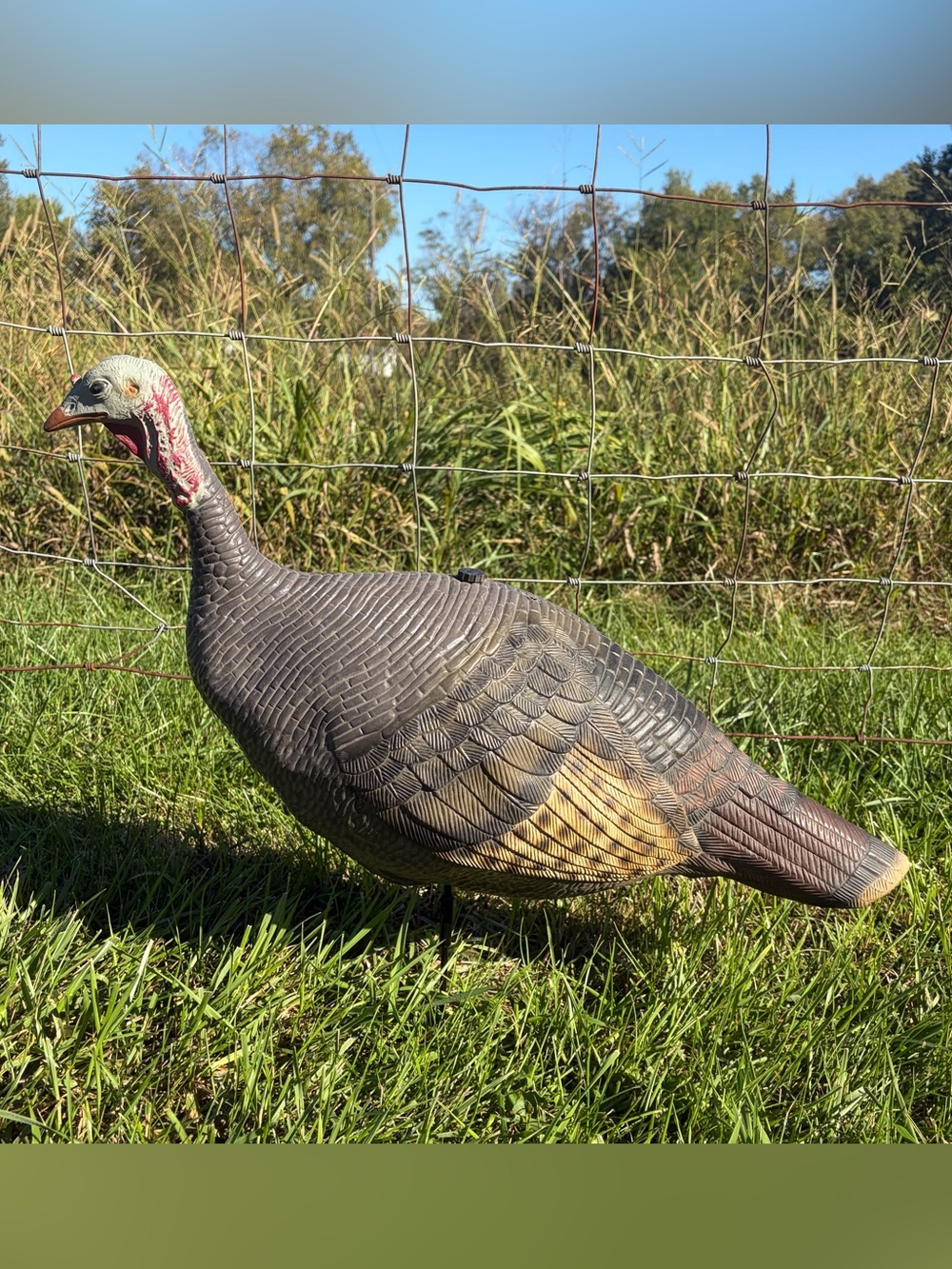 Vintage 2003 BuckWing LifeLite Turkey Decoy Rubber Mold w/ Ground Stake 28” Long